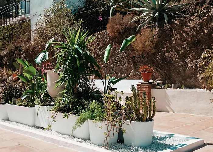 Finca Flamenco Holiday Suites Adults Only