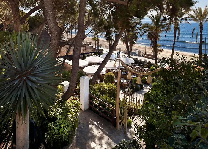 Don Pepe Gran Melia